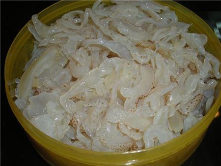 Sứa biển