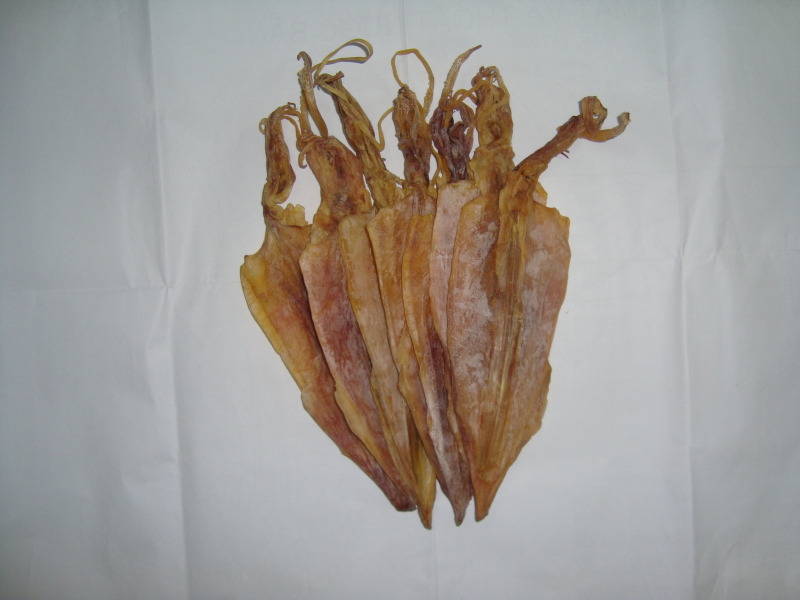Mực khô Cửa Lò loại I