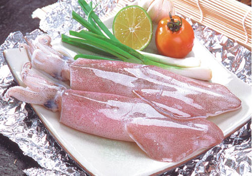 Mực tươi cửa Lò