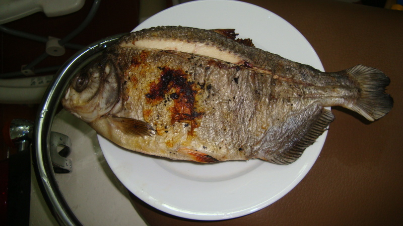 Cá Chim